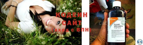 крисы Баксан