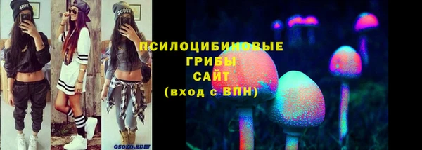 крисы Баксан