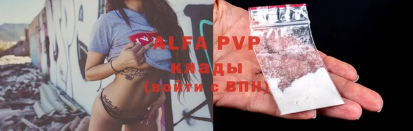 крисы Баксан