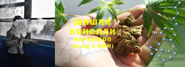 крисы Баксан