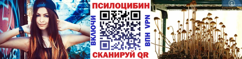 Псилоцибиновые грибы Magic Shrooms  Глазов 